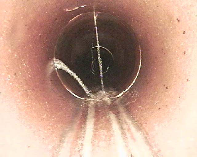 51